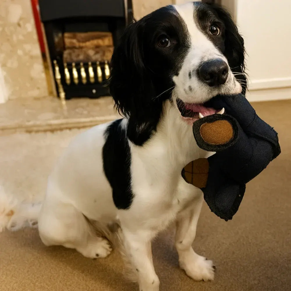Durable Plush Bear-Shaped Chew Toy for Dogs