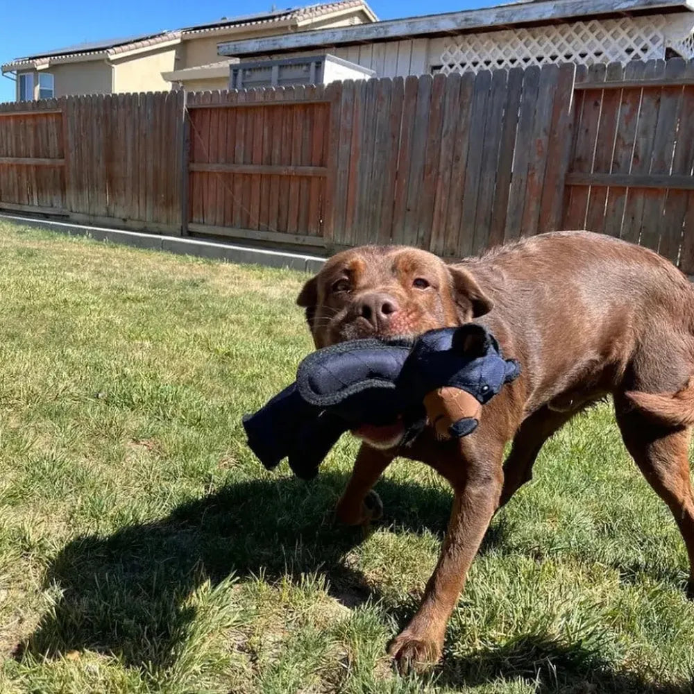 Durable Plush Bear-Shaped Chew Toy for Dogs