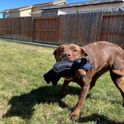 Durable Plush Bear-Shaped Chew Toy for Dogs
