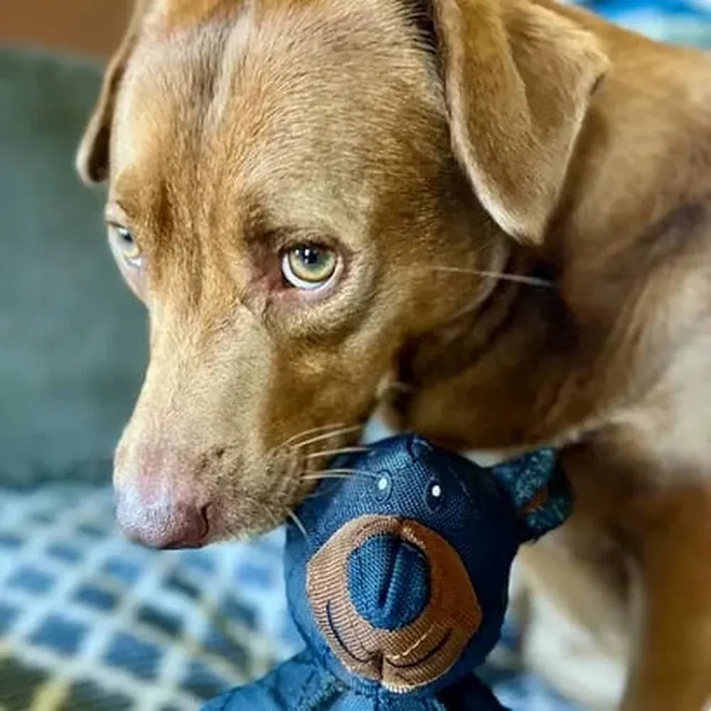 Durable Plush Bear-Shaped Chew Toy for Dogs