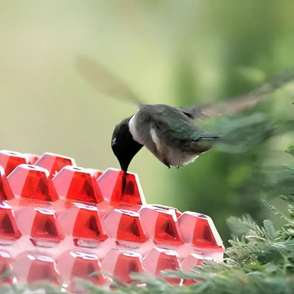 Hanging Hummingbird Nectar Feeder for Garden Feeding Stations