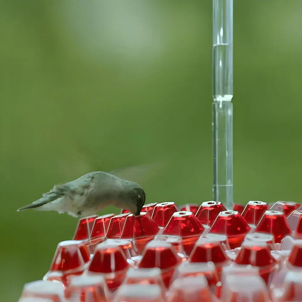 Hanging Hummingbird Nectar Feeder for Garden Feeding Stations