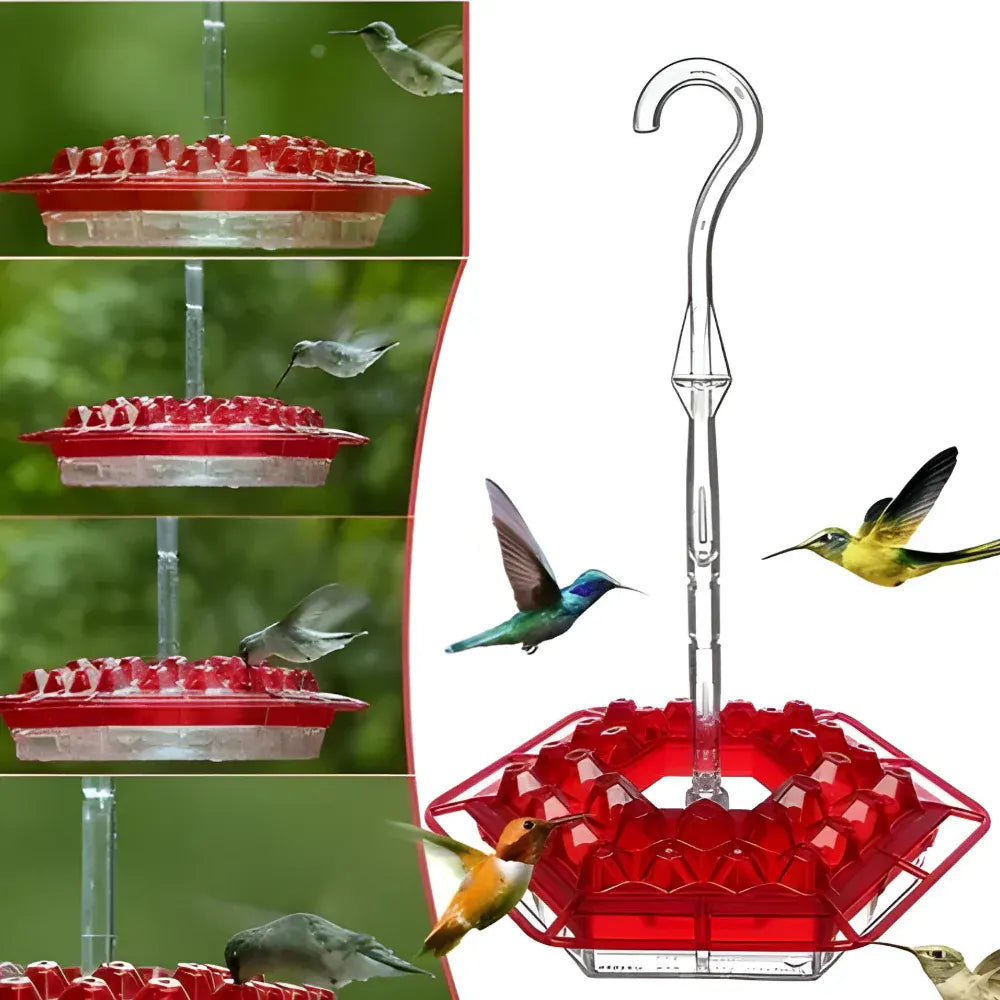 Hanging Hummingbird Nectar Feeder for Garden Feeding Stations