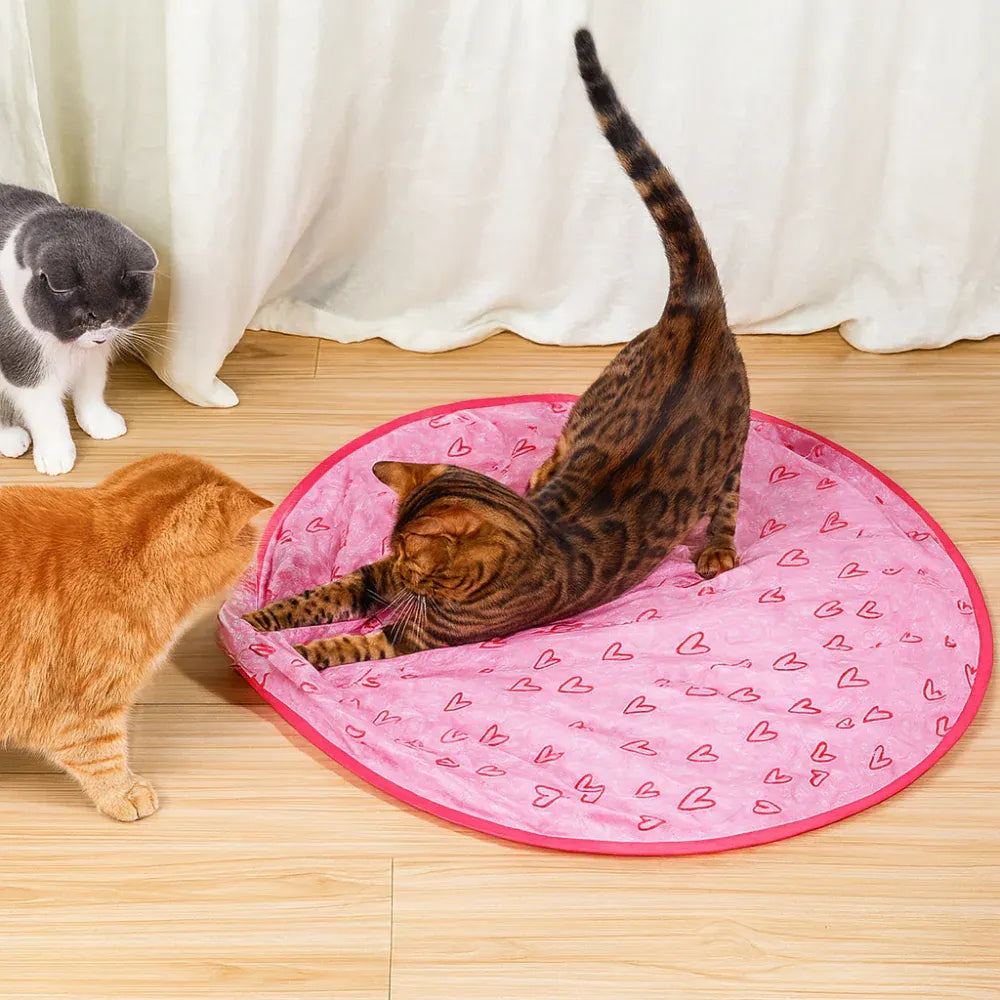 Interactive Cat Play Mat with Chase Ball Set