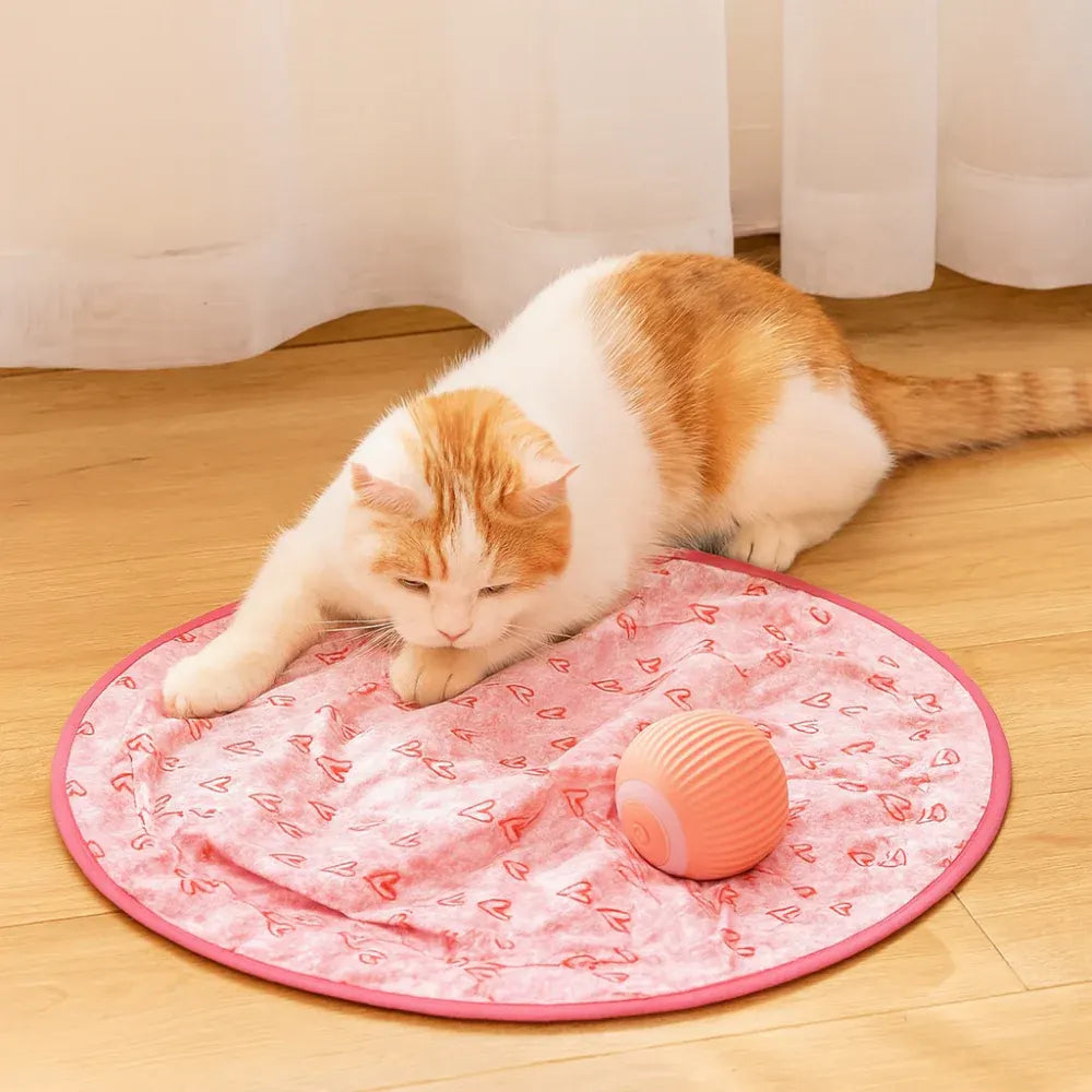 Interactive Cat Play Mat with Chase Ball Set