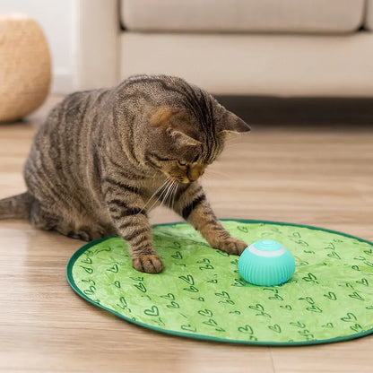Interactive Cat Play Mat with Chase Ball Set