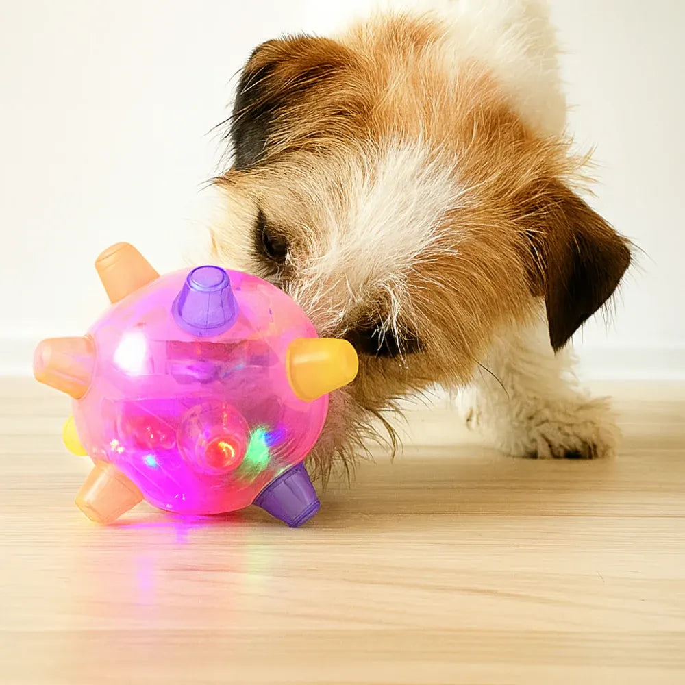 Interactive LED Bouncing Ball Toy for Dogs – Durable Plastic Rubber Jumping Design