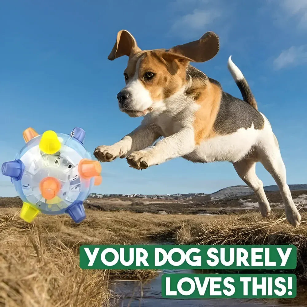 Interactive LED Bouncing Ball Toy for Dogs – Durable Plastic Rubber Jumping Design