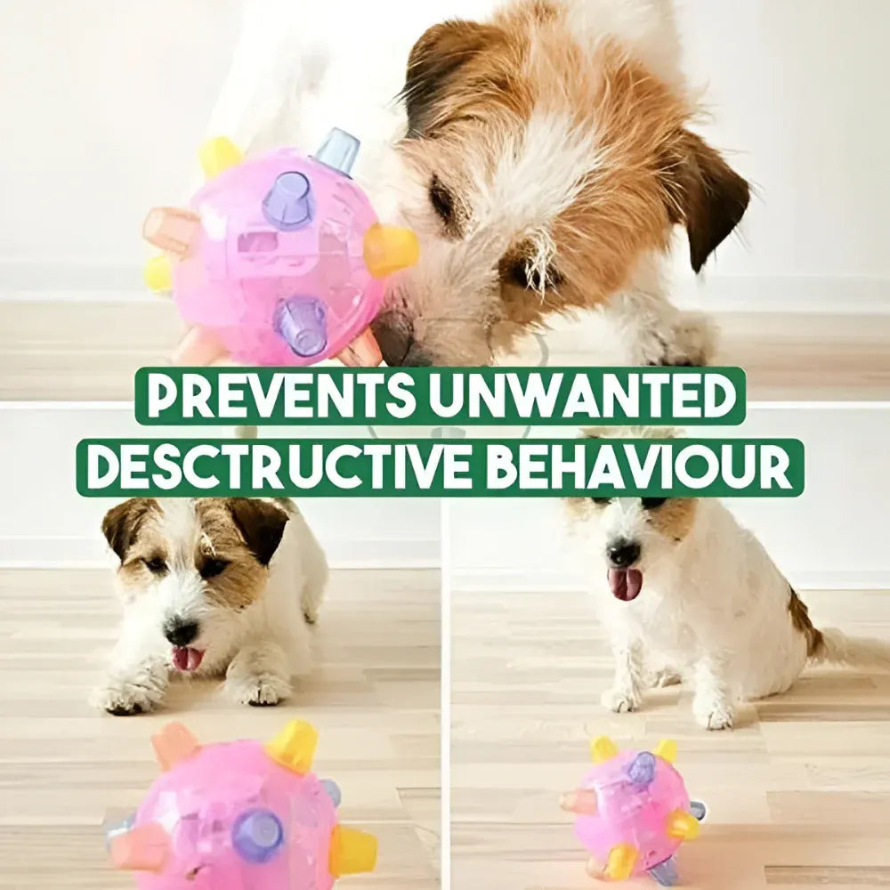 Interactive LED Bouncing Ball Toy for Dogs – Durable Plastic Rubber Jumping Design