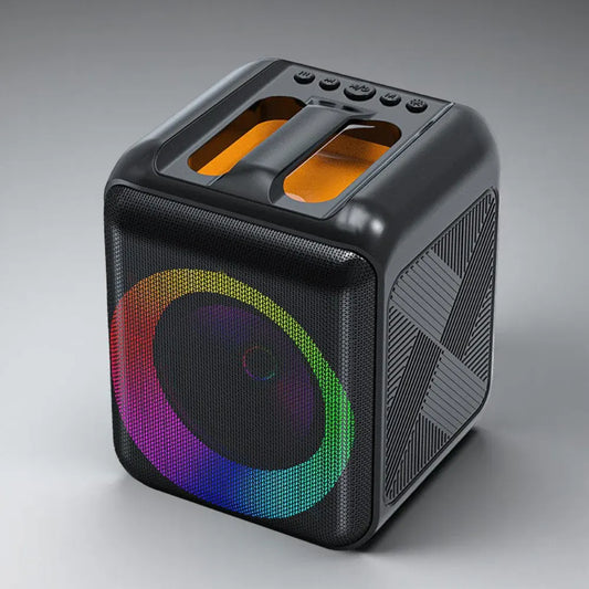 Portable Bluetooth Karaoke Speaker System with Wireless Microphones
