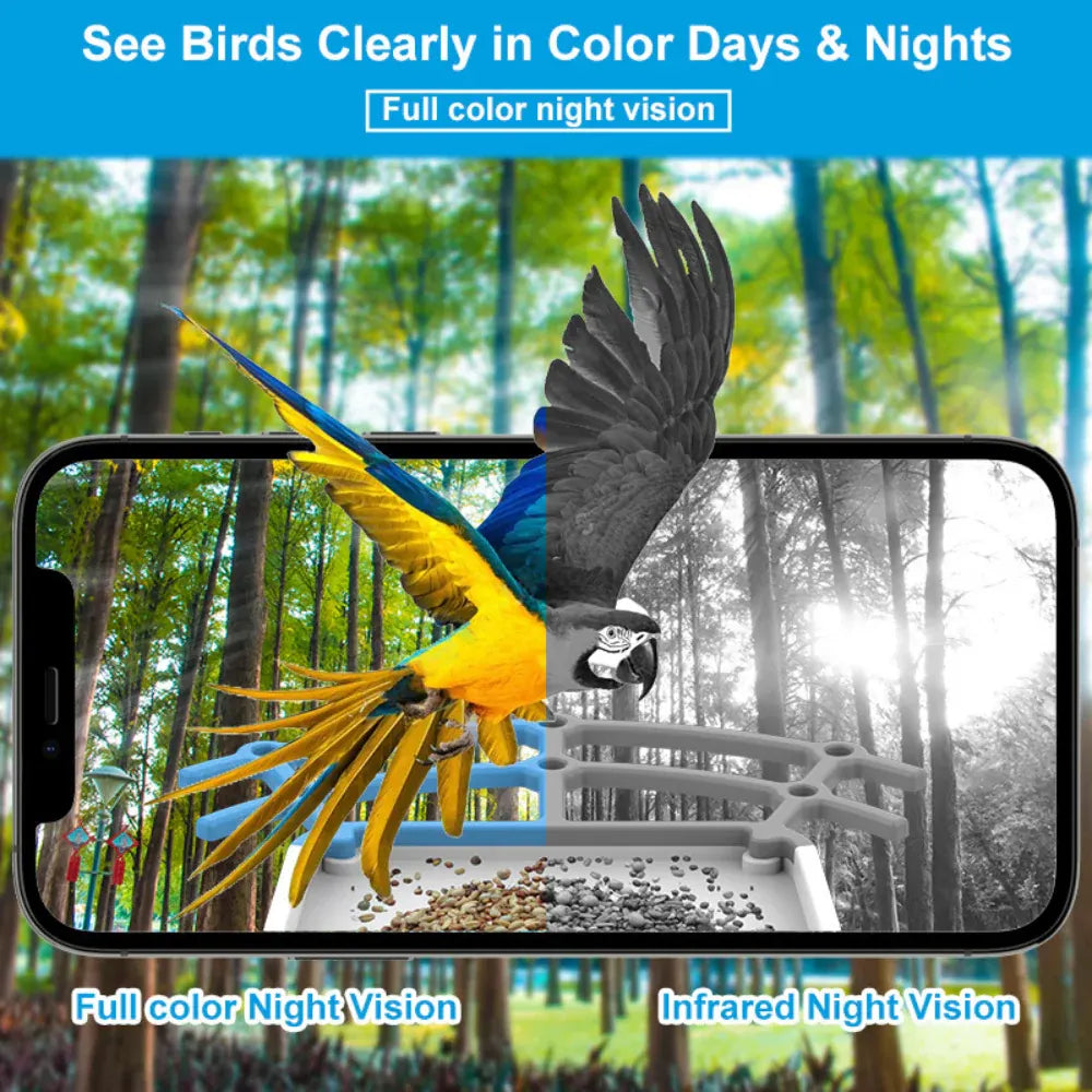 Solar-Powered Smart Bird Feeder with Outdoor Roof Camera and Video Recording