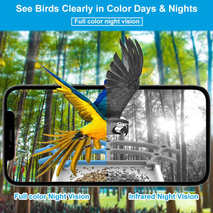 Solar-Powered Smart Bird Feeder with Outdoor Roof Camera and Video Recording