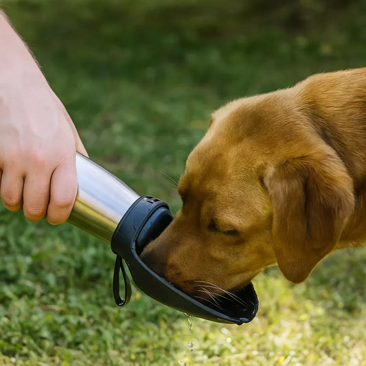 Stainless Steel Portable Pet Hydration Bottle for Travel