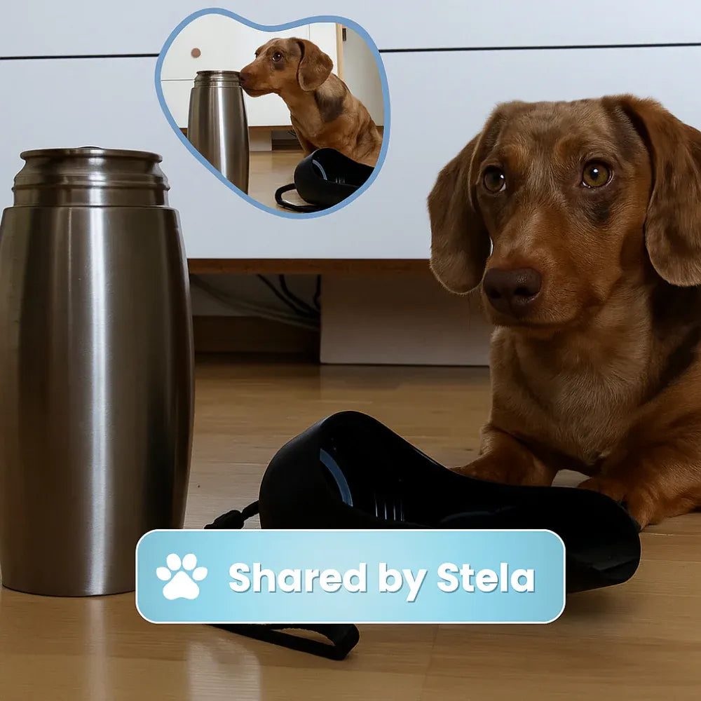 Stainless Steel Portable Pet Hydration Bottle for Travel