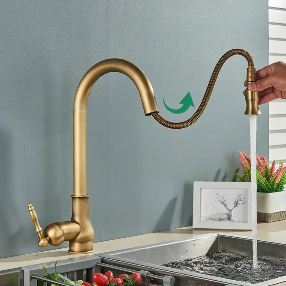 Vintage Brass Swivel Spout Kitchen Mixer Faucet