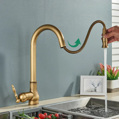 Vintage Brass Swivel Spout Kitchen Mixer Faucet