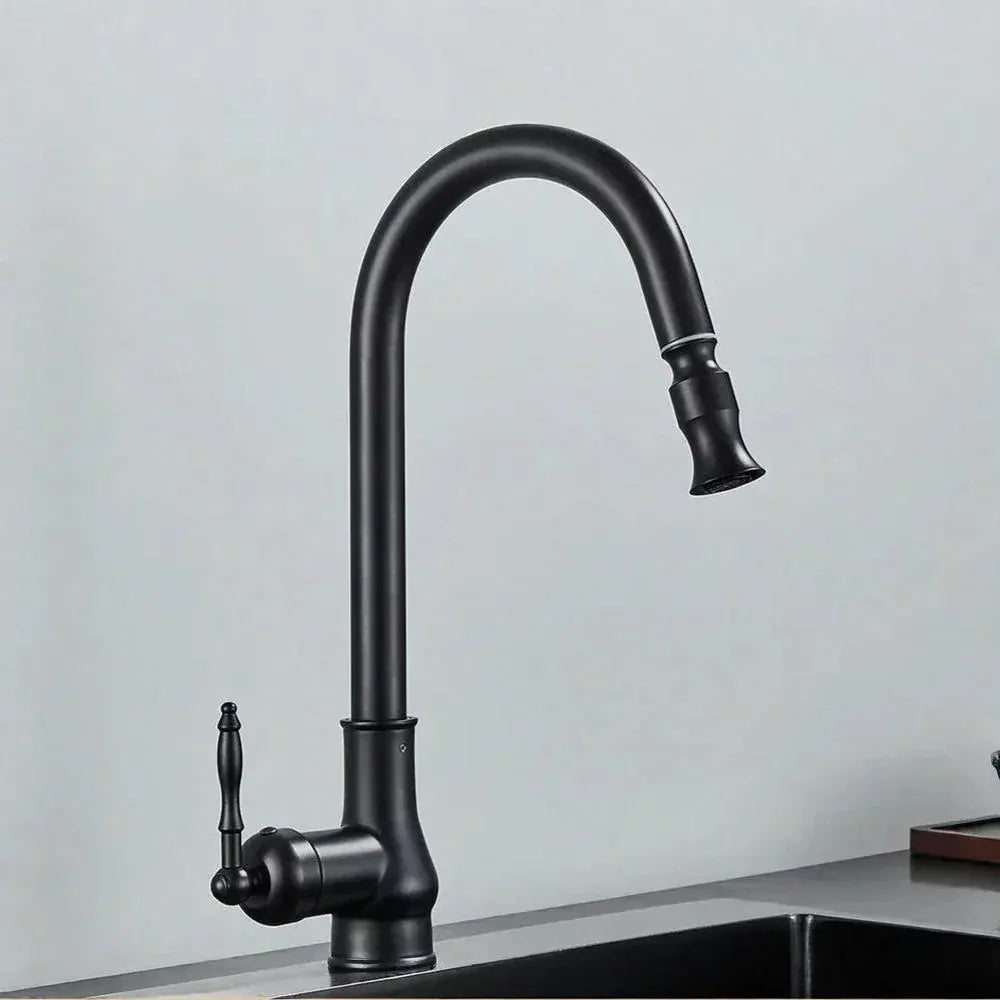 Vintage Brass Swivel Spout Kitchen Mixer Faucet