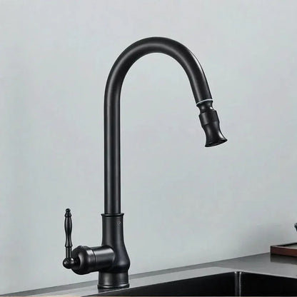 Vintage Brass Swivel Spout Kitchen Mixer Faucet