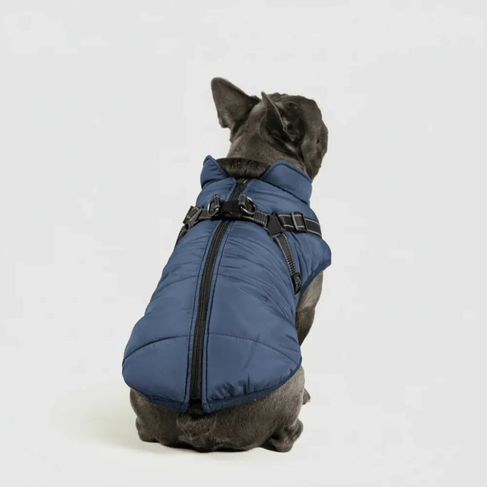 Warm Winter Outdoor Coat for Dogs