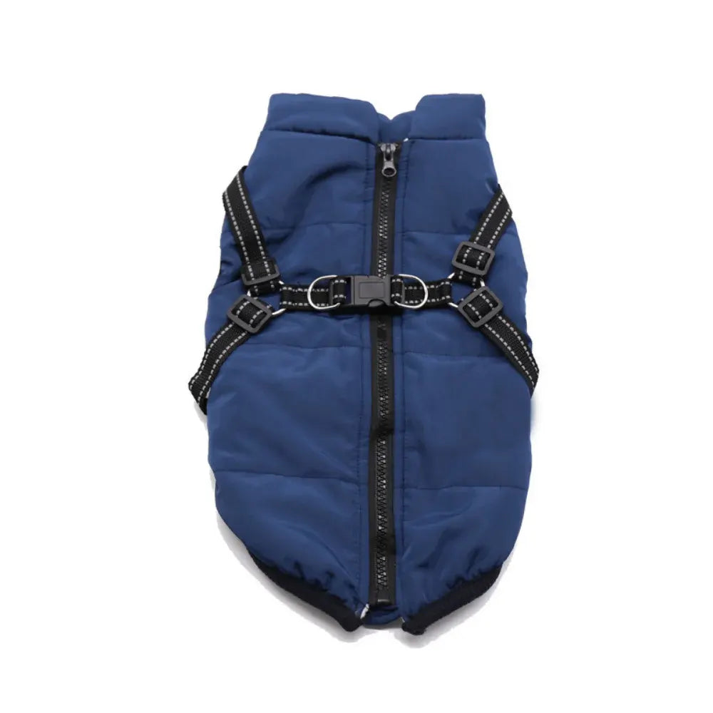 Warm Winter Outdoor Coat for Dogs
