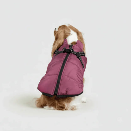 Warm Winter Outdoor Coat for Dogs