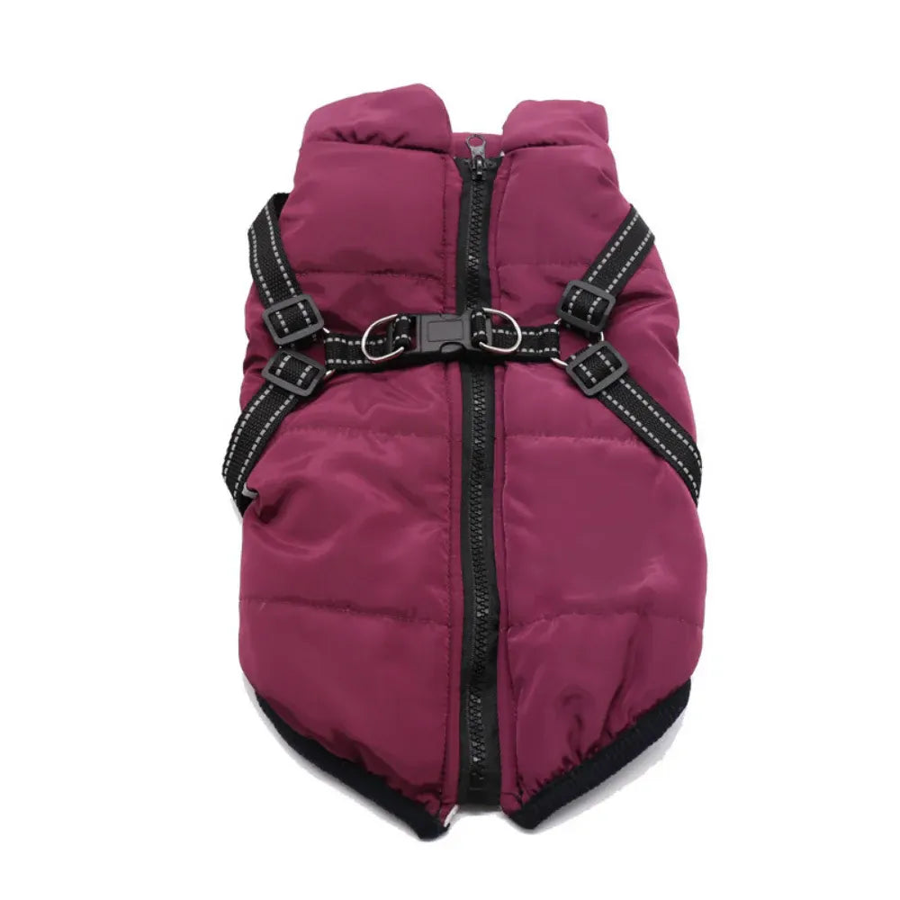 Warm Winter Outdoor Coat for Dogs