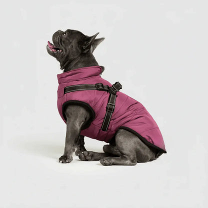 Warm Winter Outdoor Coat for Dogs