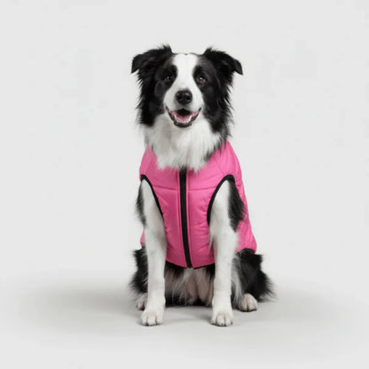 Warm Winter Outdoor Coat for Dogs