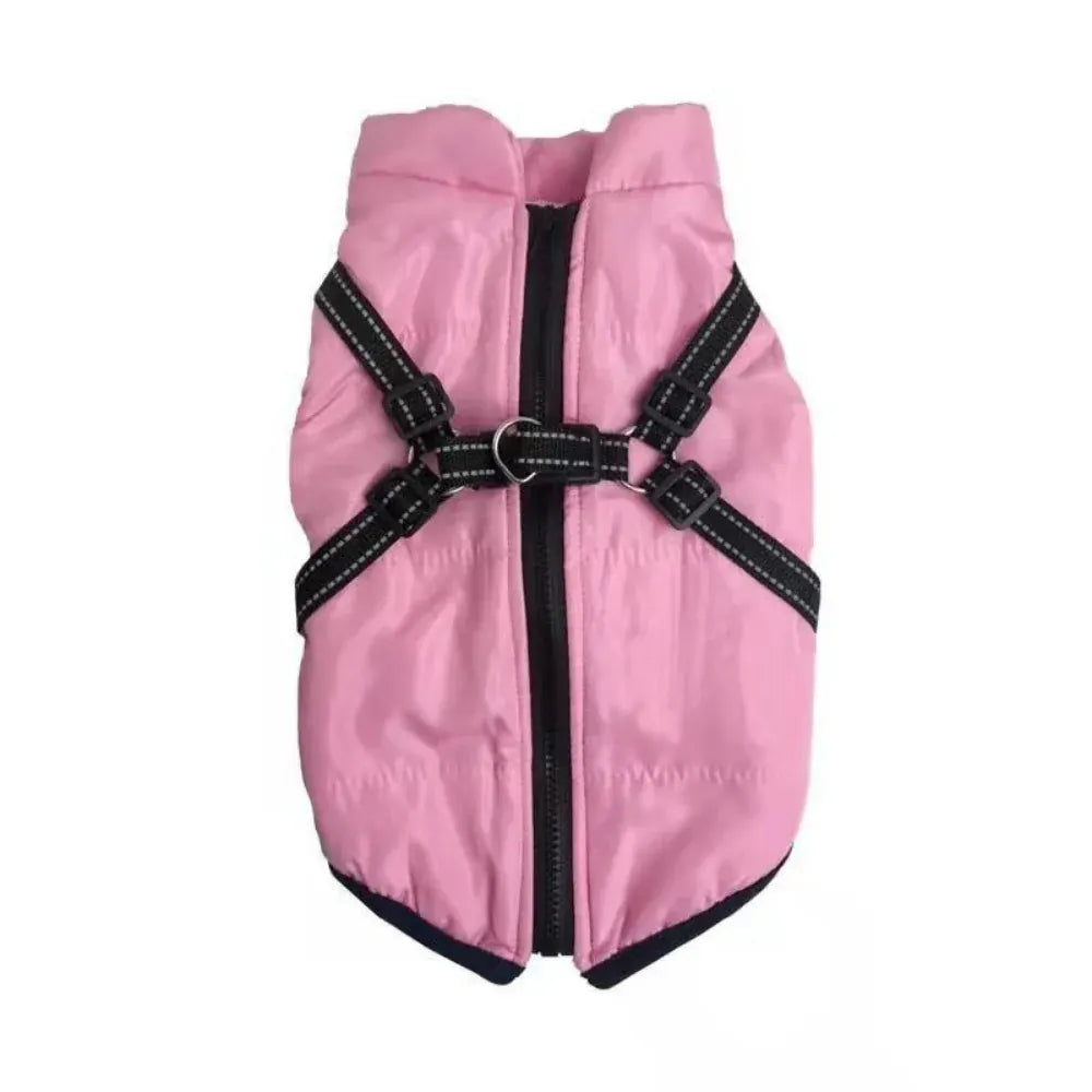 Warm Winter Outdoor Coat for Dogs