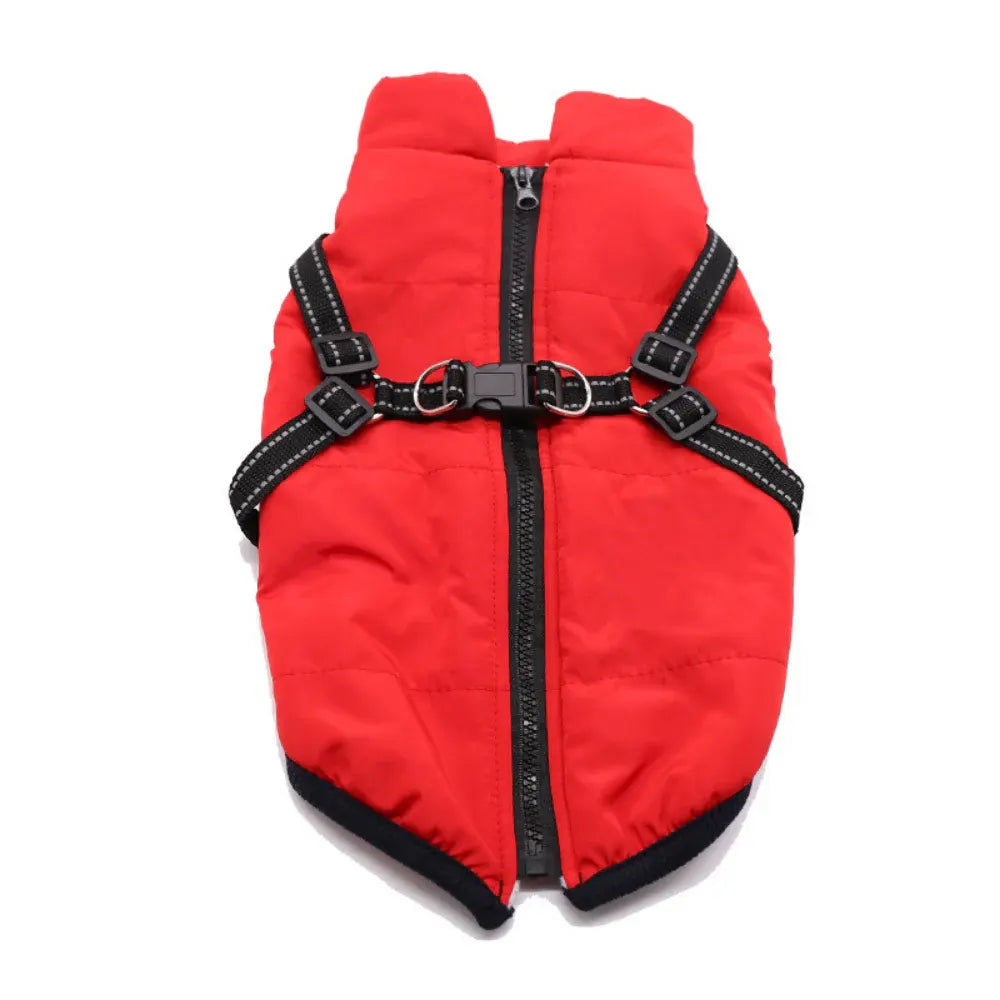 Warm Winter Outdoor Coat for Dogs