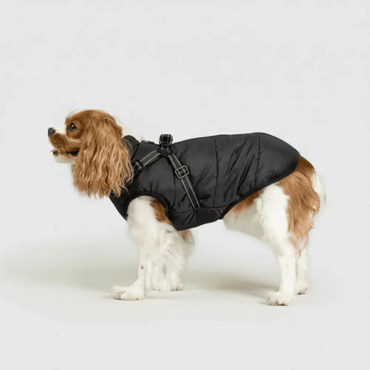Warm Winter Outdoor Coat for Dogs