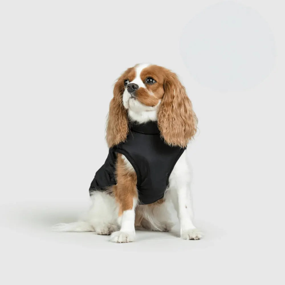 Warm Winter Outdoor Coat for Dogs