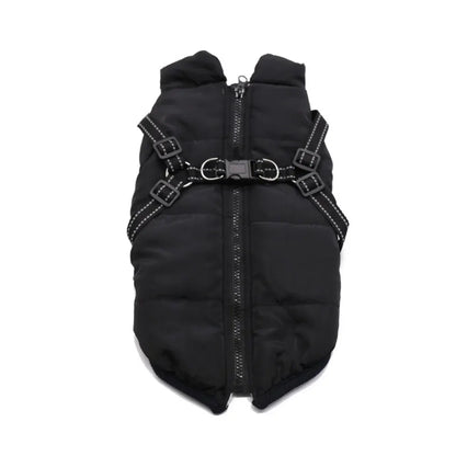 Warm Winter Outdoor Coat for Dogs