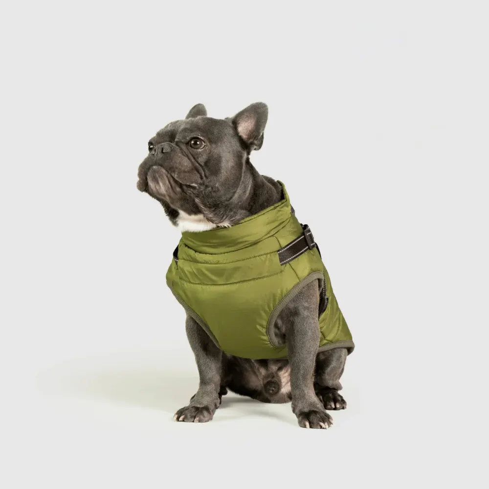 Warm Winter Outdoor Coat for Dogs