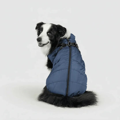 Warm Winter Outdoor Coat for Dogs